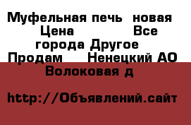 Муфельная печь (новая)  › Цена ­ 58 300 - Все города Другое » Продам   . Ненецкий АО,Волоковая д.